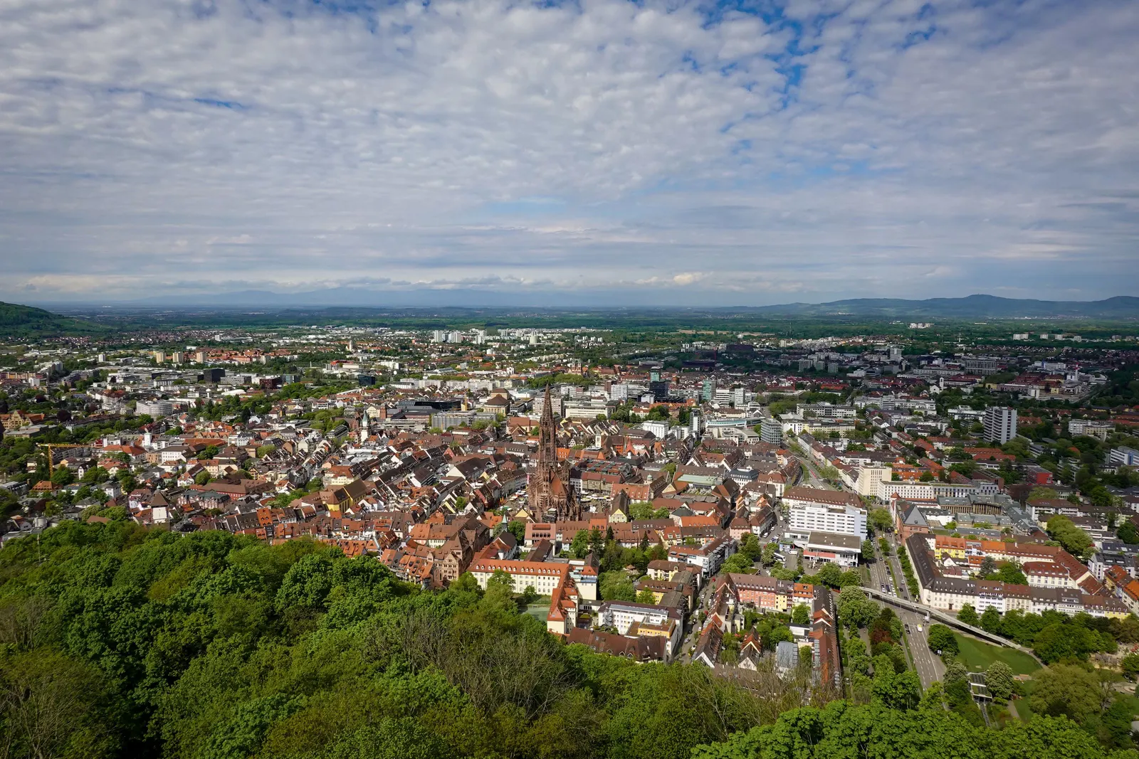 Blick über Freiburg mit dem Münster und dem Schwarzwald