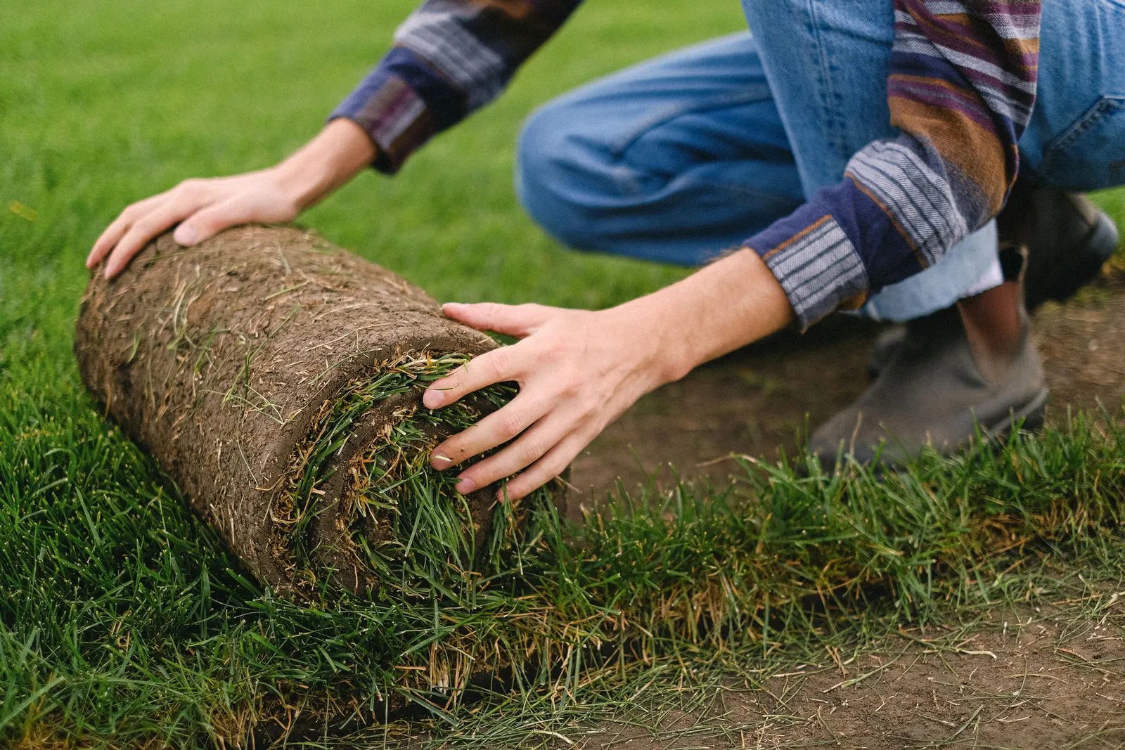 Grassodenschneider mieten: Rasen abtragen wie ein Profi