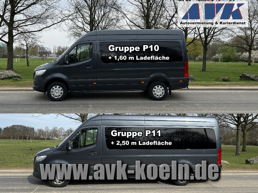 TOP - 9-Sitzer Bus XXL mit bis zu 2,50m Ladefläche – 2