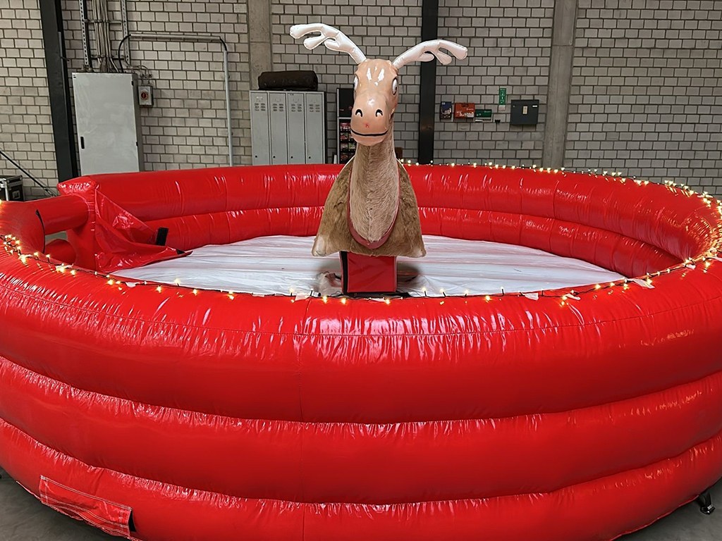 Rentier Rodeo mieten in Koblenz bei Dominik Liebehenz – 3