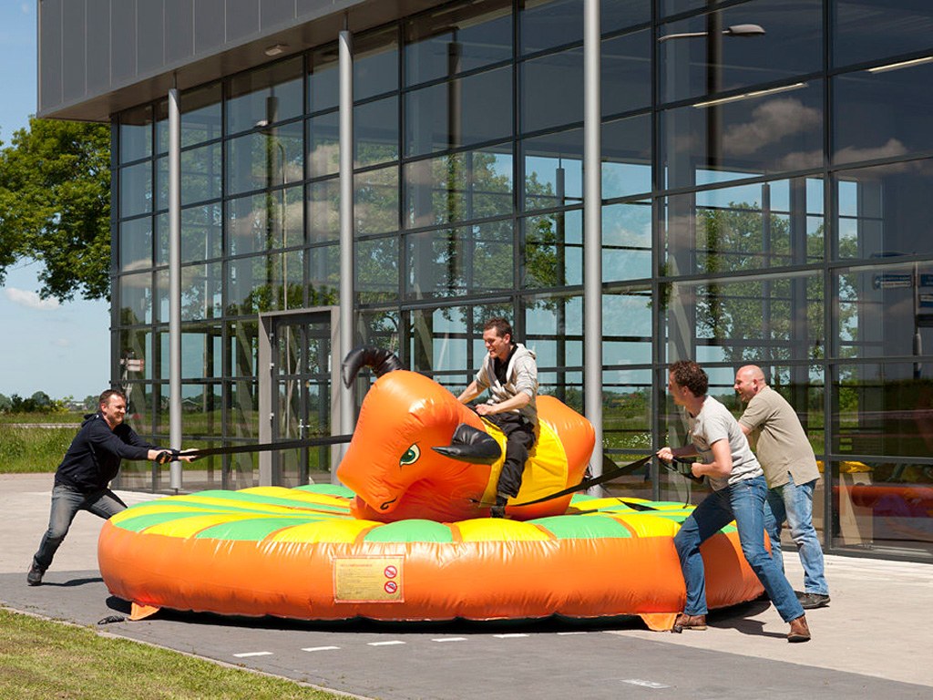Pullriding mieten in Koblenz bei Dominik Liebehenz