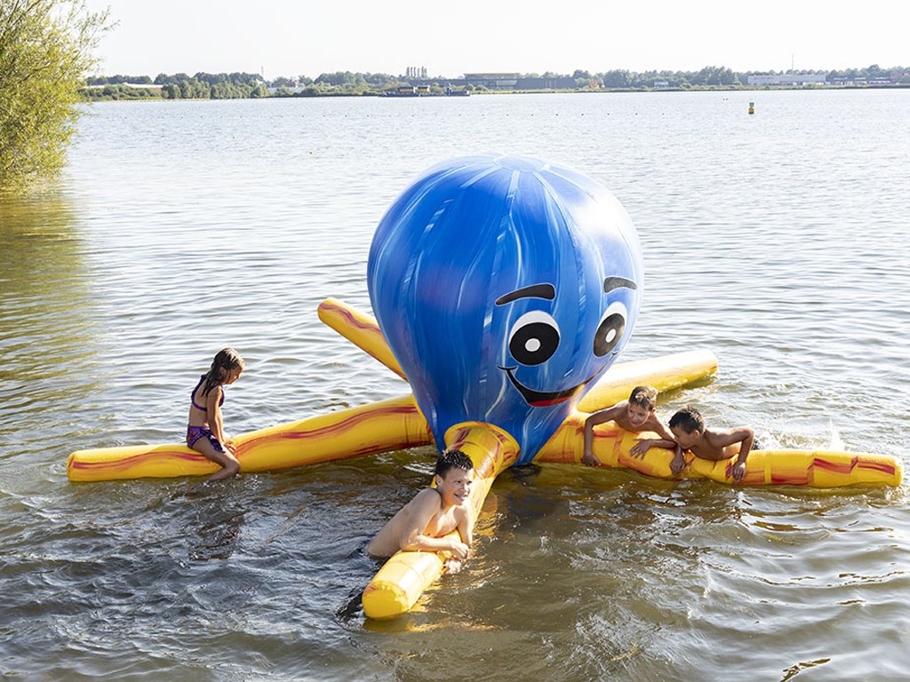 Wasserinsel Oktopus mieten in Koblenz bei Dominik Liebehenz – 3