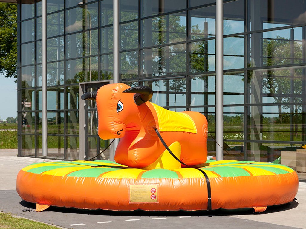 Pullriding mieten in Koblenz bei Dominik Liebehenz – 3