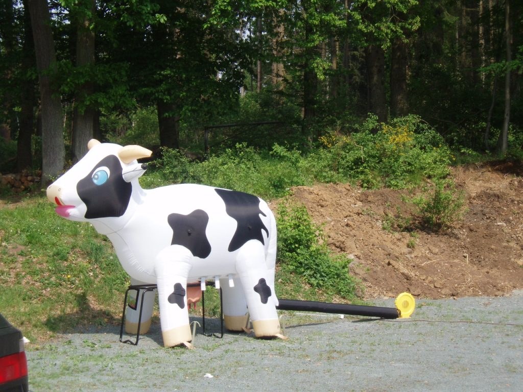 Wettmelken mieten in Hünfelden – 3