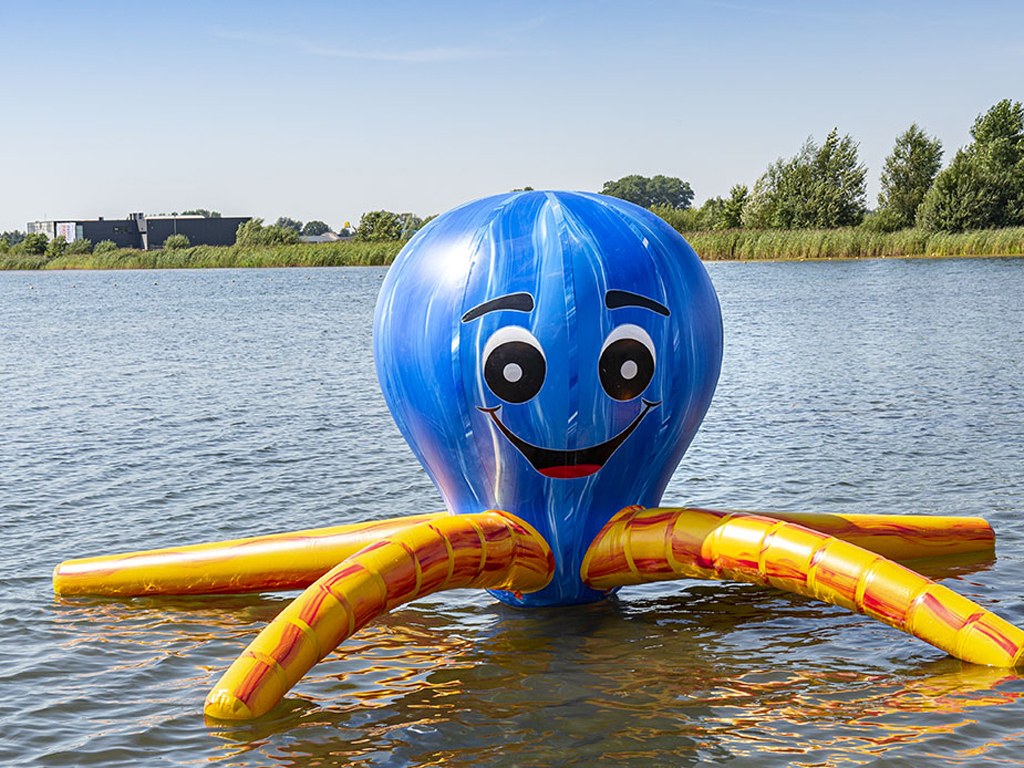 Wasserinsel Oktopus mieten in Koblenz bei Dominik Liebehenz