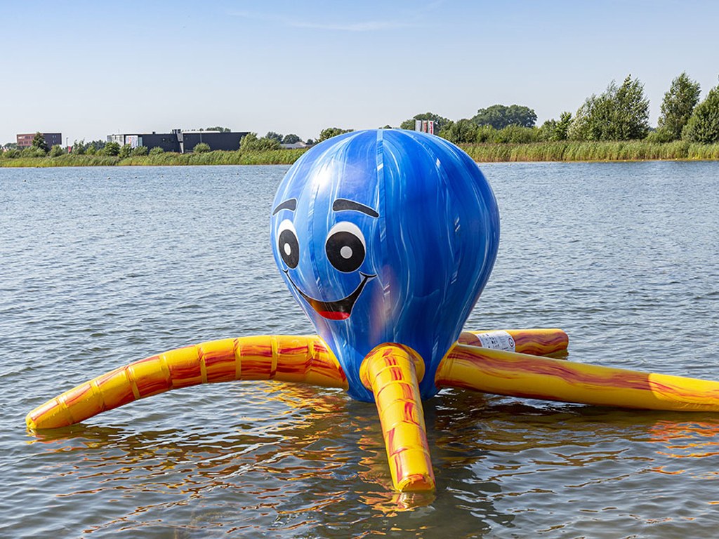 Wasserinsel Oktopus mieten in Koblenz bei Dominik Liebehenz – 2