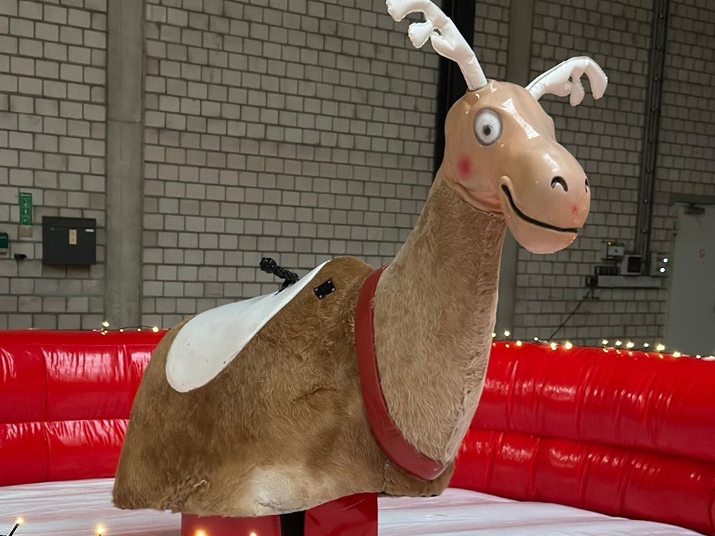 Rentier Rodeo mieten in Koblenz bei Dominik Liebehenz – 2