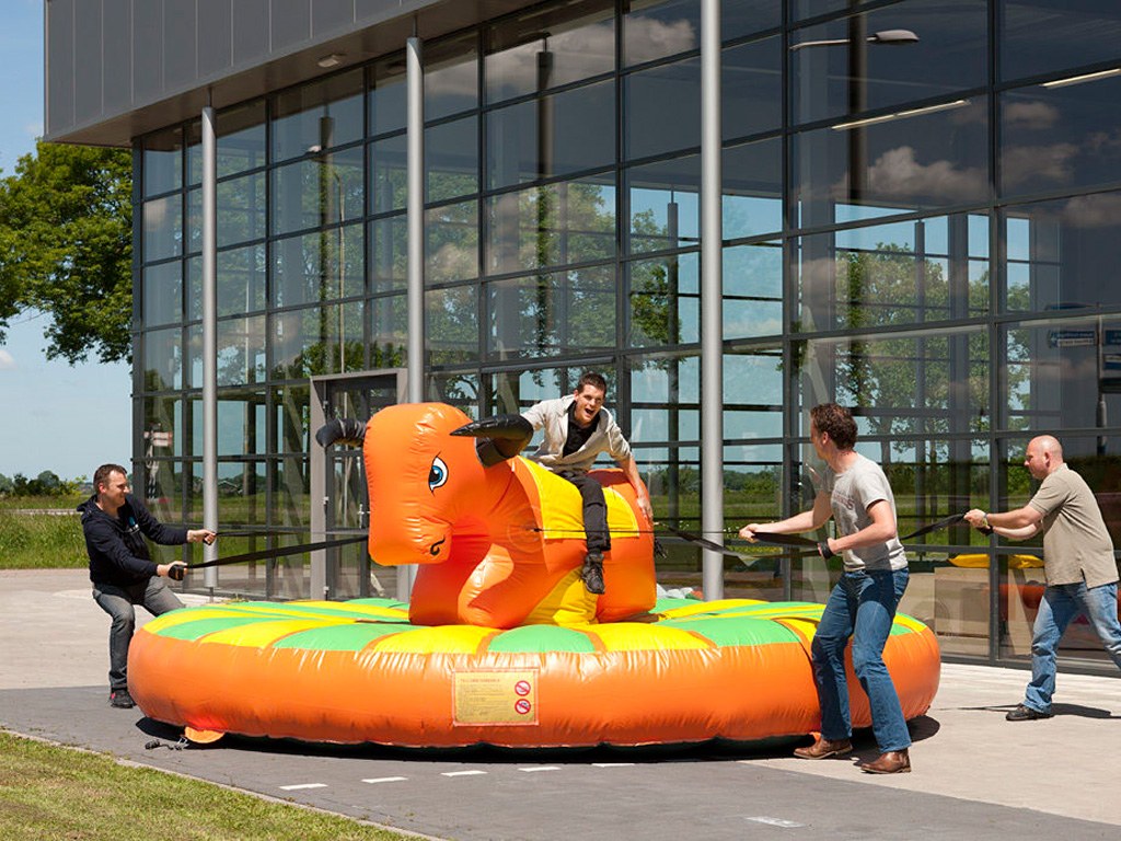 Pullriding mieten in Koblenz bei Dominik Liebehenz – 2