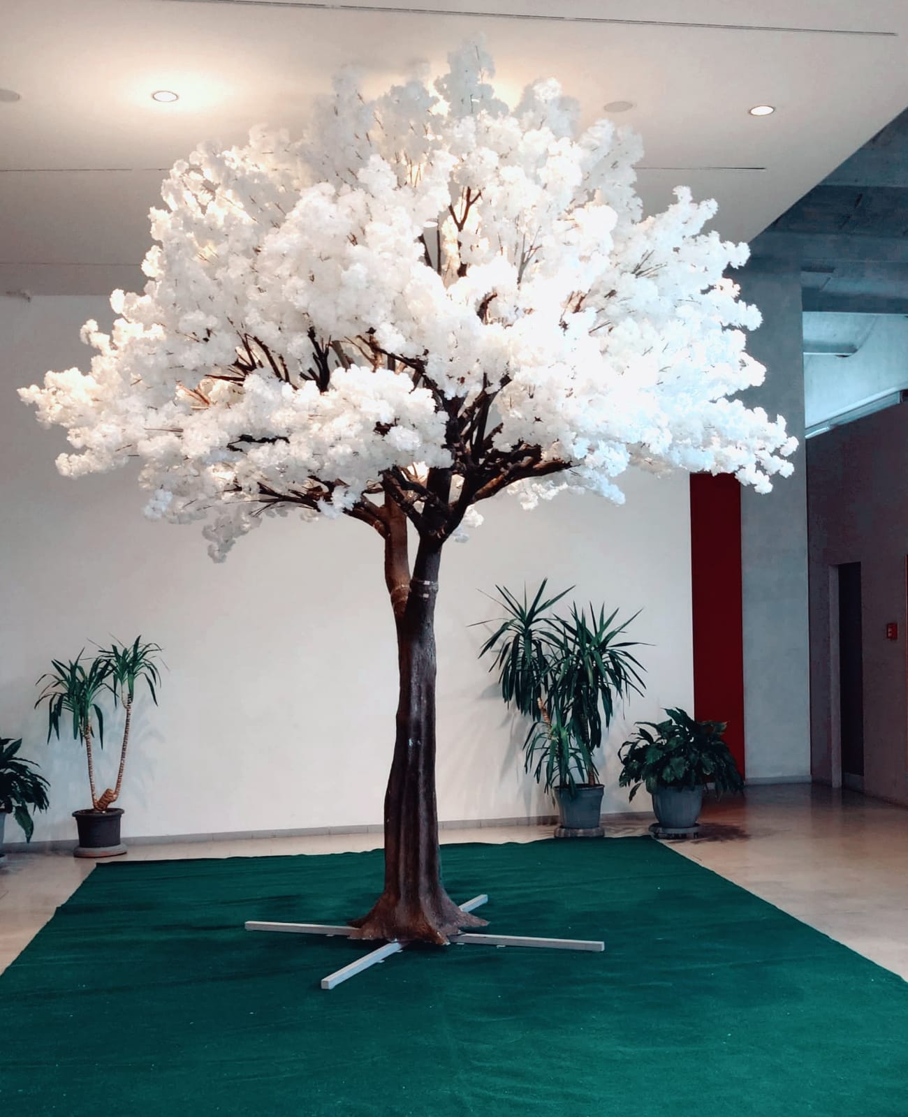 Kunstbäume mieten, Kirschblütenbaum mieten , Olivenbaum mieten 4m hoch, 3,5m breit Deko, Baum, Kunstblumen – 2