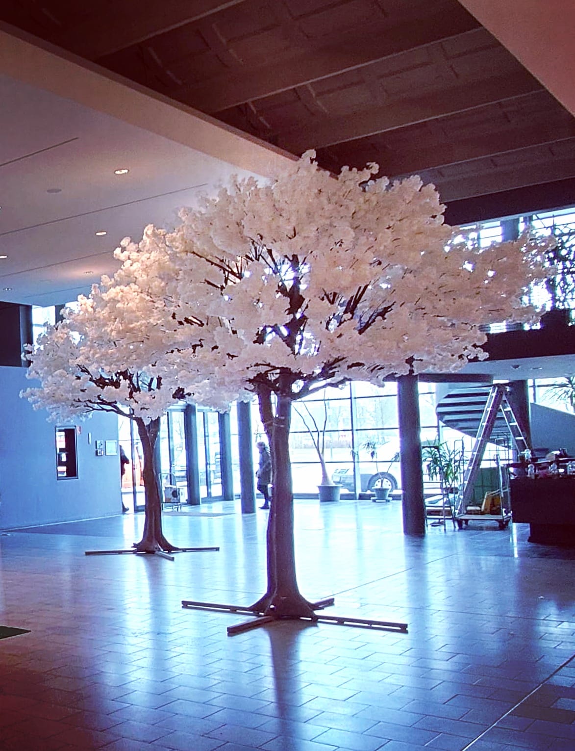 Kunstbäume mieten, Kirschblütenbaum mieten , Olivenbaum mieten 4m hoch, 3,5m breit Deko, Baum, Kunstblumen – 4