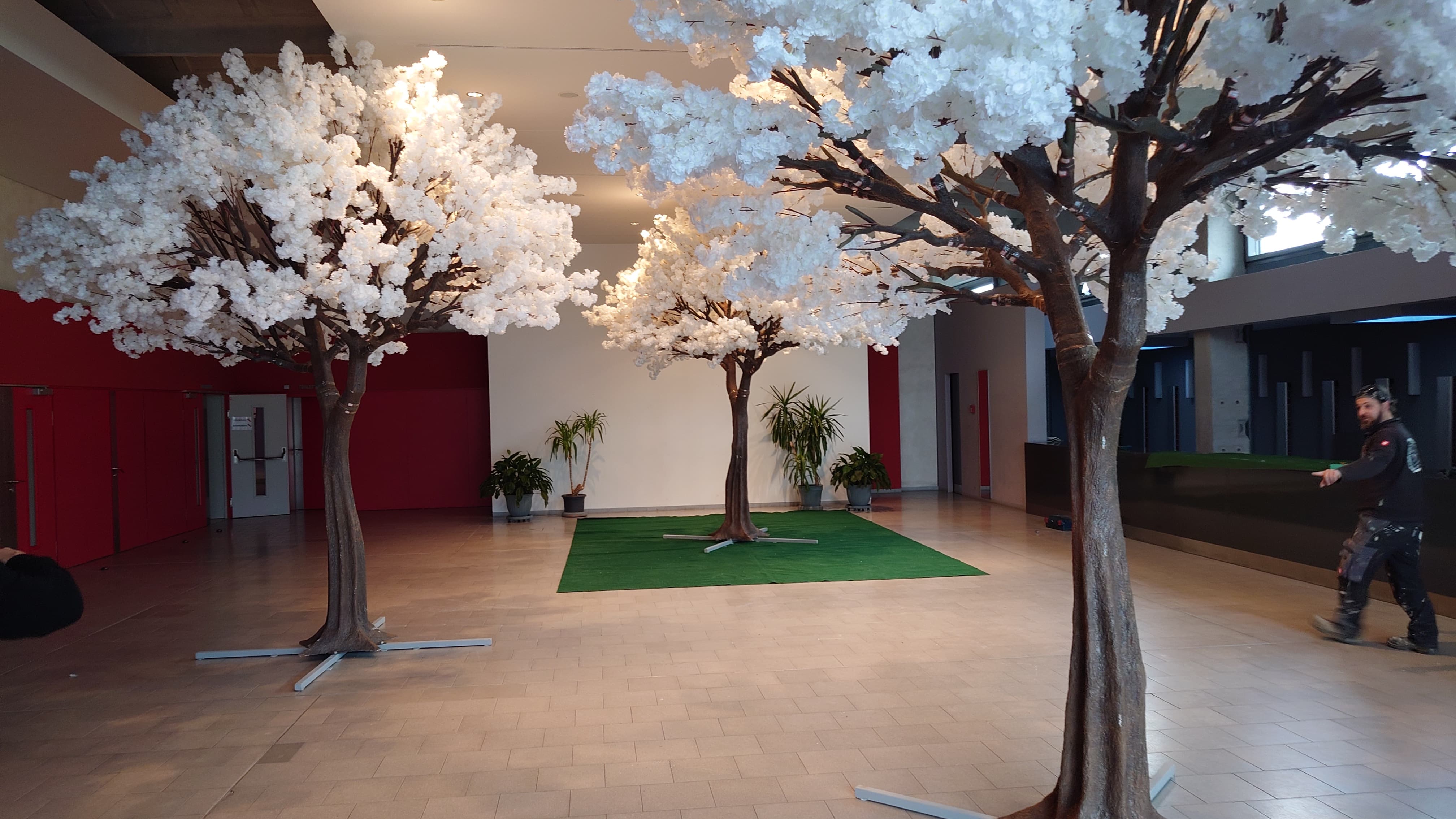 Kunstbäume mieten, Kirschblütenbaum mieten , Olivenbaum mieten 4m hoch, 3,5m breit Deko, Baum, Kunstblumen