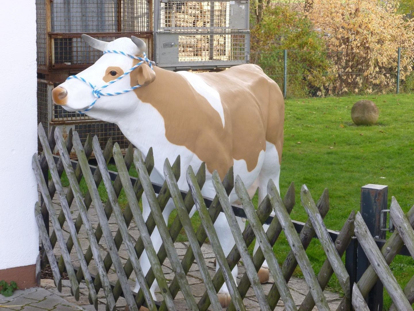 Melkkuh Wettmelkkuh mieten in Moosinning
