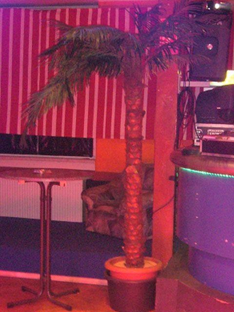 Kunstpflanze Palme 3,0m mieten in Reinstädt