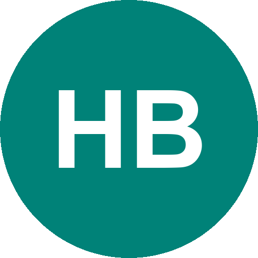 Holtdirk Baumaschinen GmbH Logo