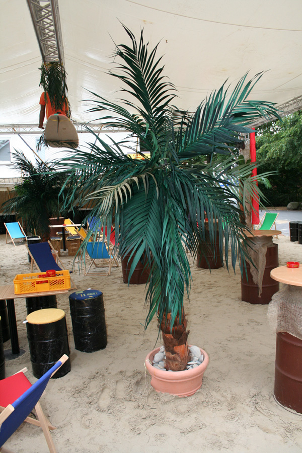 Dekopalmen mieten bei Fun Promotion