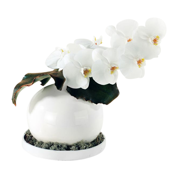 Blumen Dekosatz 432 mieten