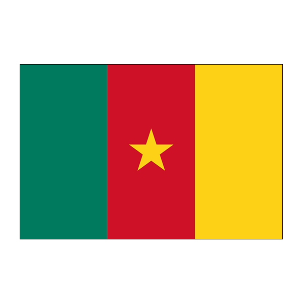 Fahne Kamerun 225*150 cm mieten