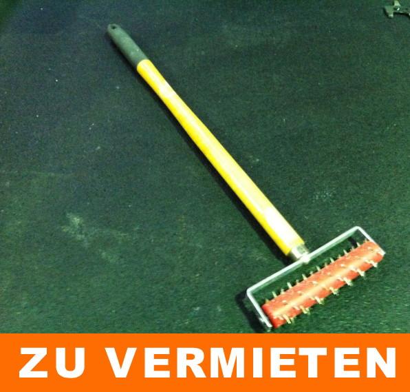 Igelwalze / Stachelwalze