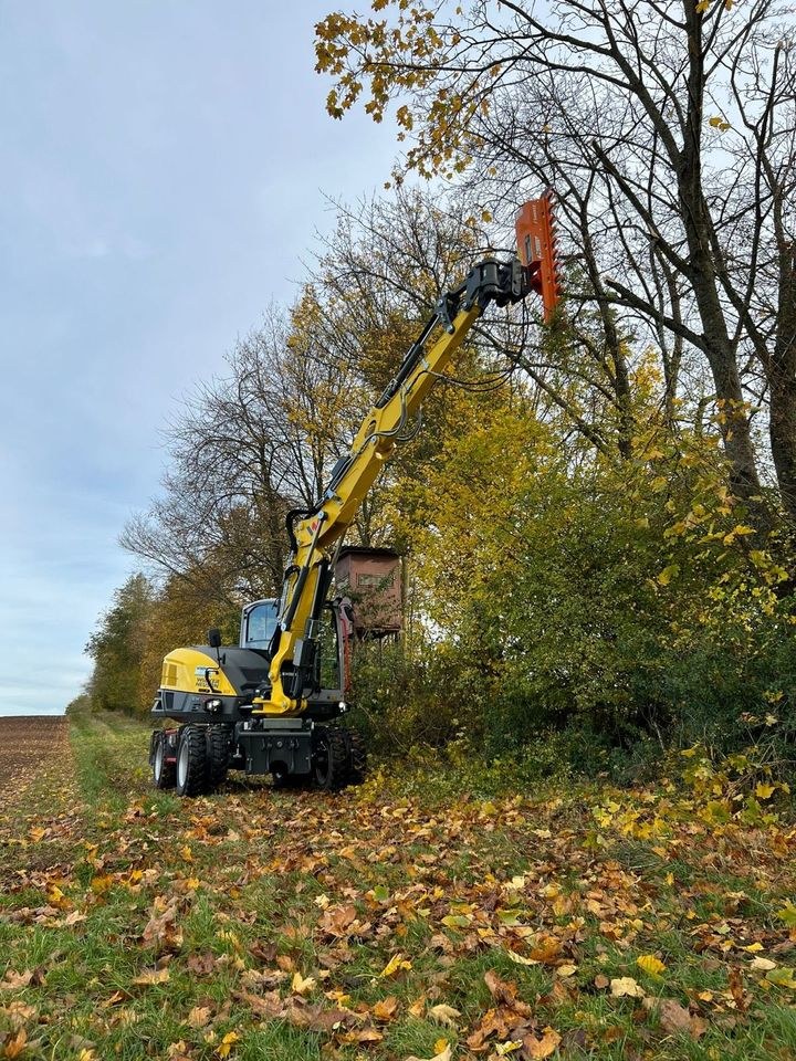 Astschere Heckenschere Zuschnitt Baggeranbau mieten in Freystadt – 2