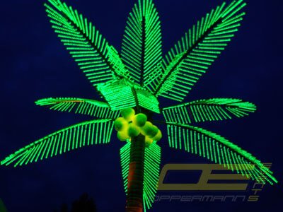 Palmen mieten bei Oppermann Events