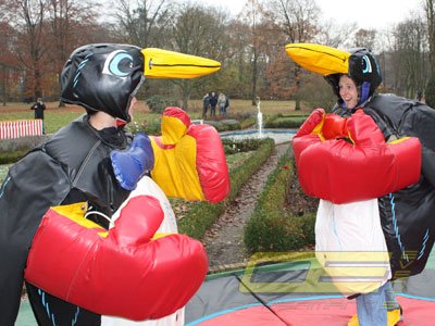 Pinguin Boxen/Ringen mieten bei Oppermann Events