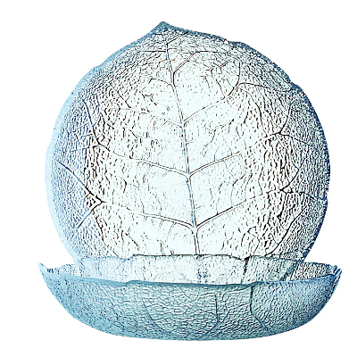 Aspen glasschaelchen 14 5cm mieten