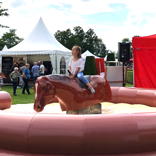 Pferde Rodeo mieten bei Crypton Event GmbH (GF Jörg Cziesla)