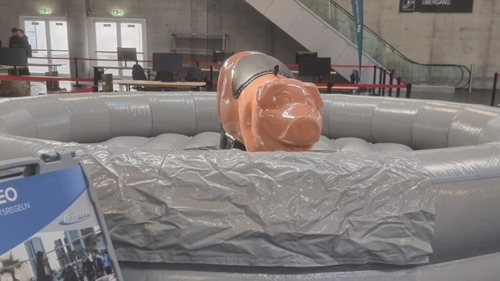 Schweine Rodeo mieten bei Crypton Event GmbH (GF Jörg Cziesla)