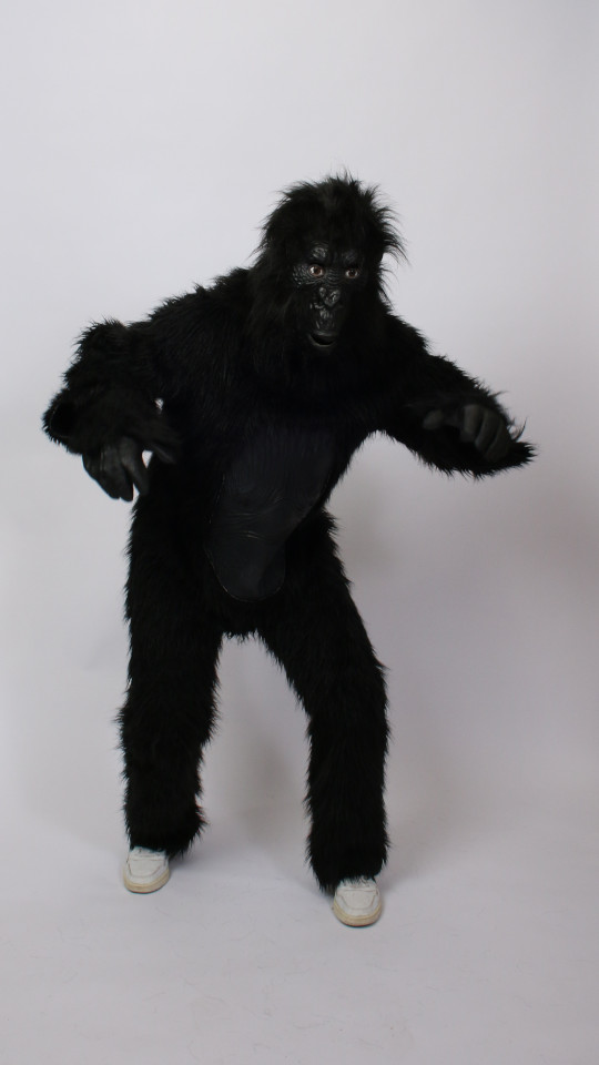 Gorilla – Affe Outfit (Overall, Latexmaske und Handschuhe) mieten