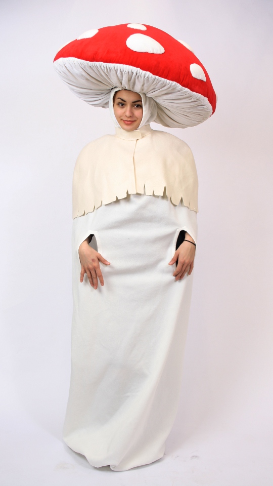 Fliegenpilz Outfit (Kleid, Hut und Kragen) mieten