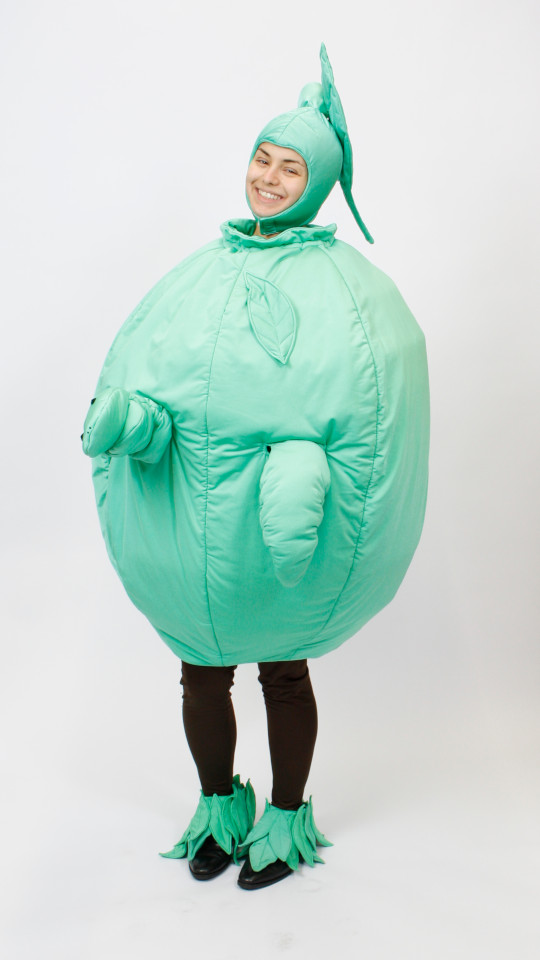 Apfel Outfit (Anzug, Gamaschen, Handschuhe und Strumpfhose) mieten