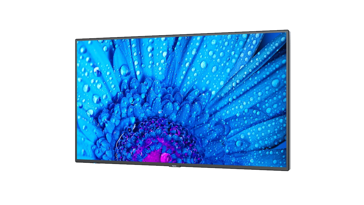 NEC – 55″ Multisync M551, 3840 x 2160 IPS mieten bei Tecstage
