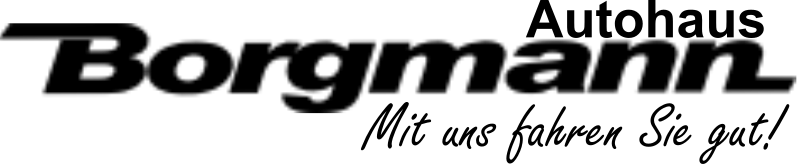 Borgmann GmbH Logo