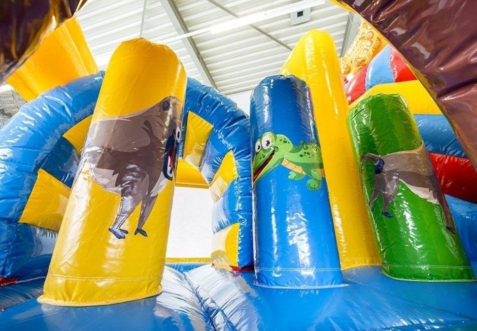 Hüpfburg Safari am Bodensee mieten in Salem – 3