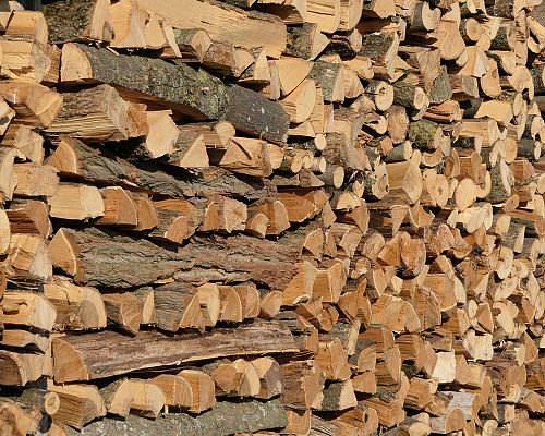 Holz