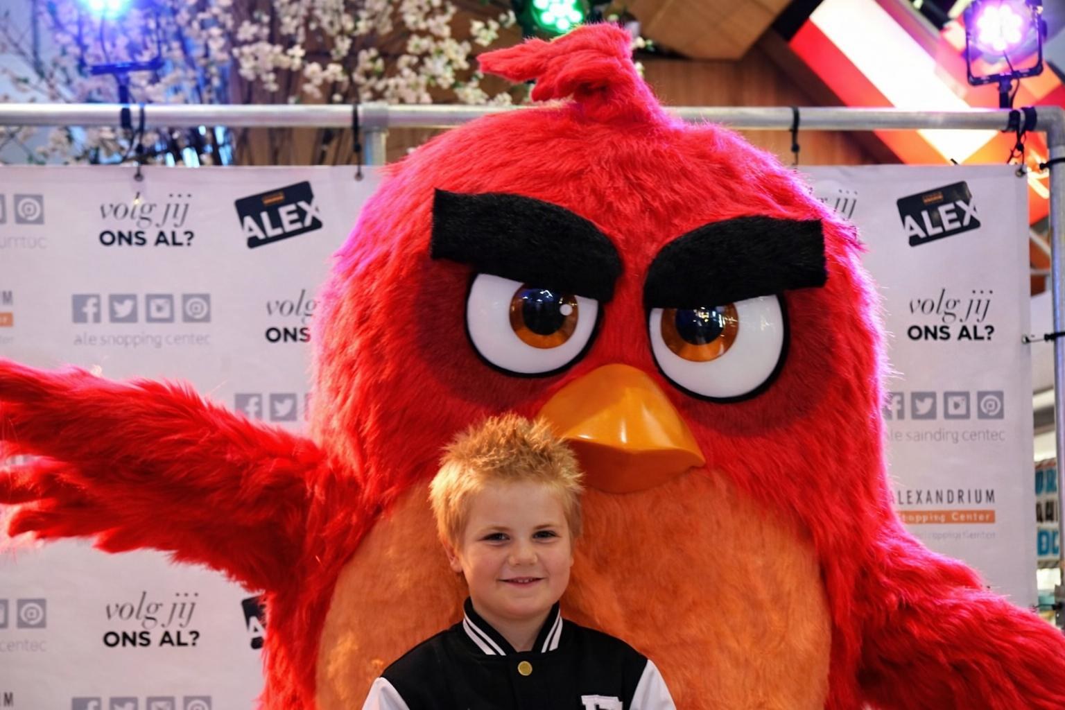 Angry Birds – Lizenzartikel das Original – meet and greet mieten in Bramsche – 2