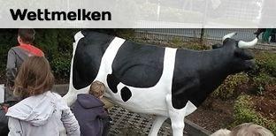 Wettmelken mit den Kühen von Bauer Ewald - Selbstabholer möglich mieten in Bramsche
