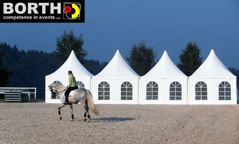 Pagode / Zelt mit elegantem Spitzdach und abnehmbaren Seitenwänden 5x5 m – 3