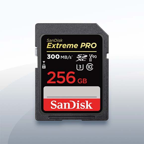 SanDisk Extreme Pro SDXCII 256GB V90 (300MB/s) mieten – ab 16 €/Tag