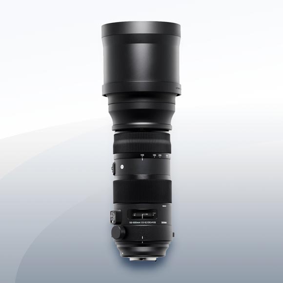 Sigma 150-600mm F5.0-6.3 DG OS HSM Sports für Nikon mieten – ab 18,50 €/Tag