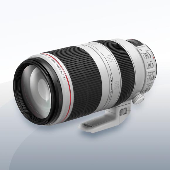 Canon EF 100-400mm F4.5-5.6L IS II USM mieten – Versand deutschlandweit ab 21,50 €/Tag – 2