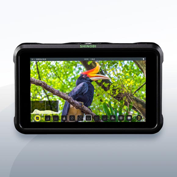 Atomos Shinobi Monitor SDI/HDMI mieten – Versand deutschlandweit ab 15,50 €/Tag