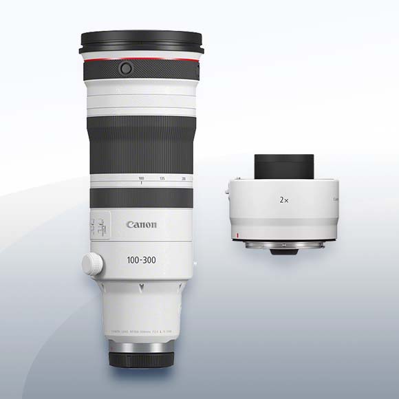Canon RF 100-300mm F2.8L IS USM + Canon Extender RF 2.0 mieten – ab 149,50 €/Tag