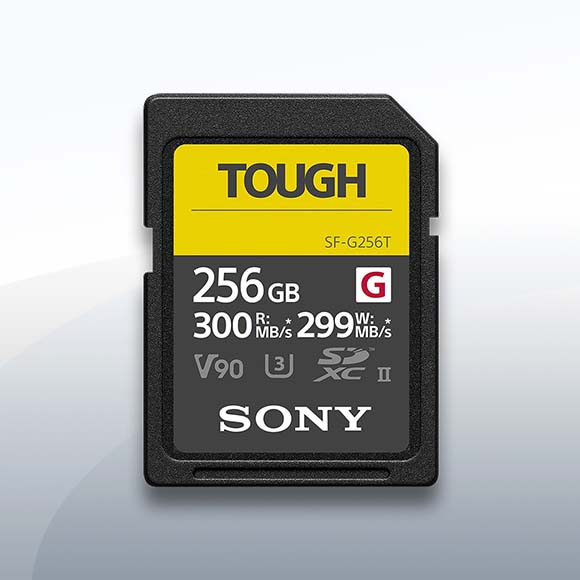 Sony G SDXCII 256GB V90 (300MB/s, 299MB/s) mieten – Versand deutschlandweit ab 16 €/Tag