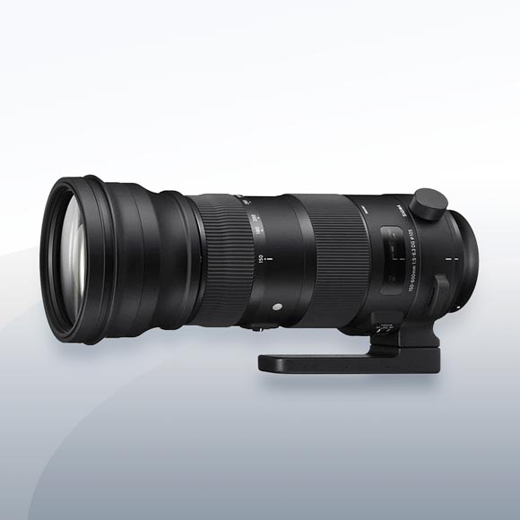 Sigma 150-600mm F5.0-6.3 DG OS HSM Sports für Canon mieten – ab 18,50 €/Tag – 2