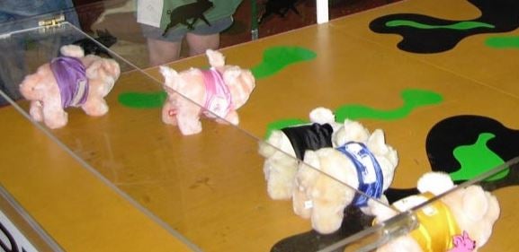 Schweinerennen – 2