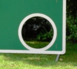 Torwand – 3