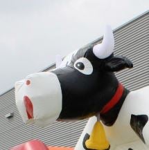 Hüpfburg Kuh – 3