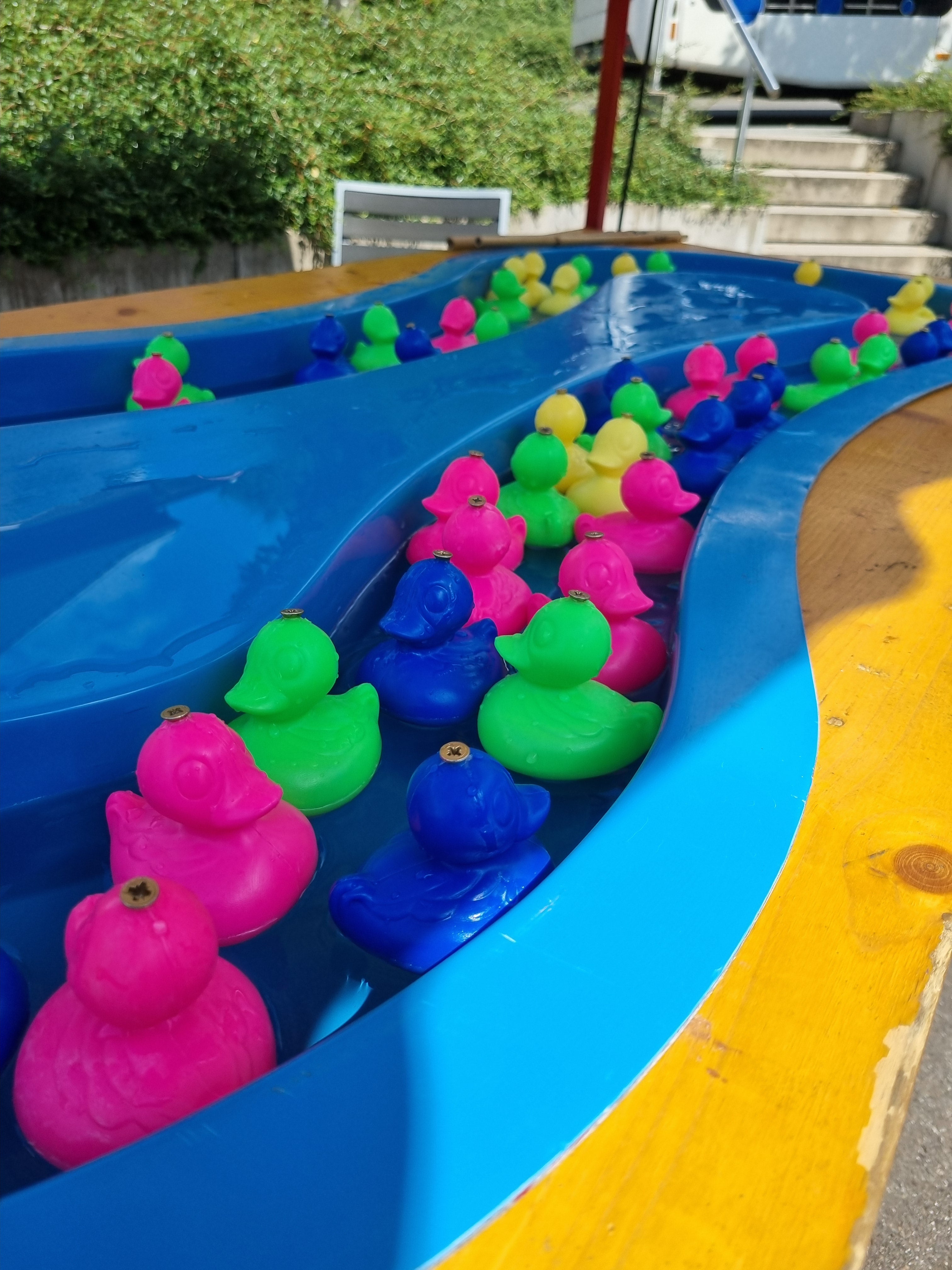 Enten angeln – 2