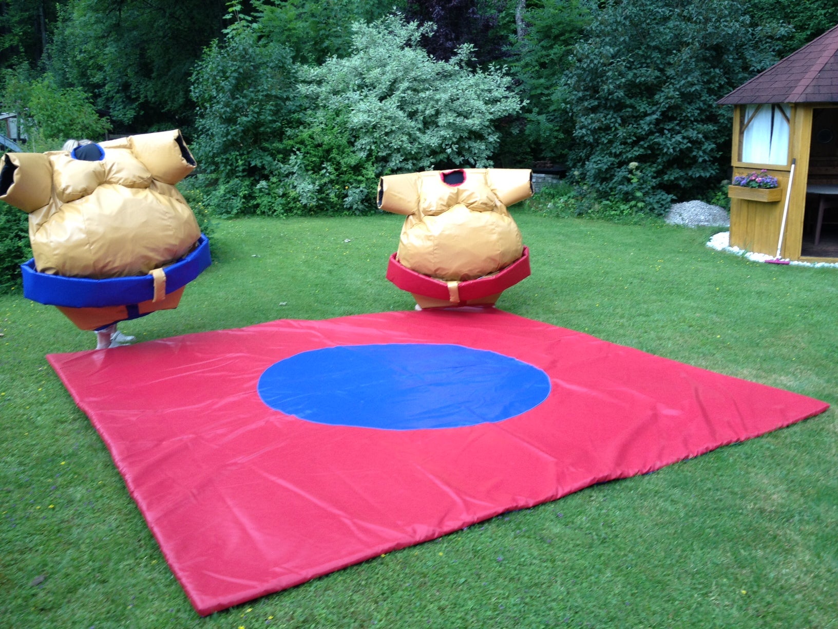 Sumo Ringen Crazy Sumo Wrestling Sumo Ringer
